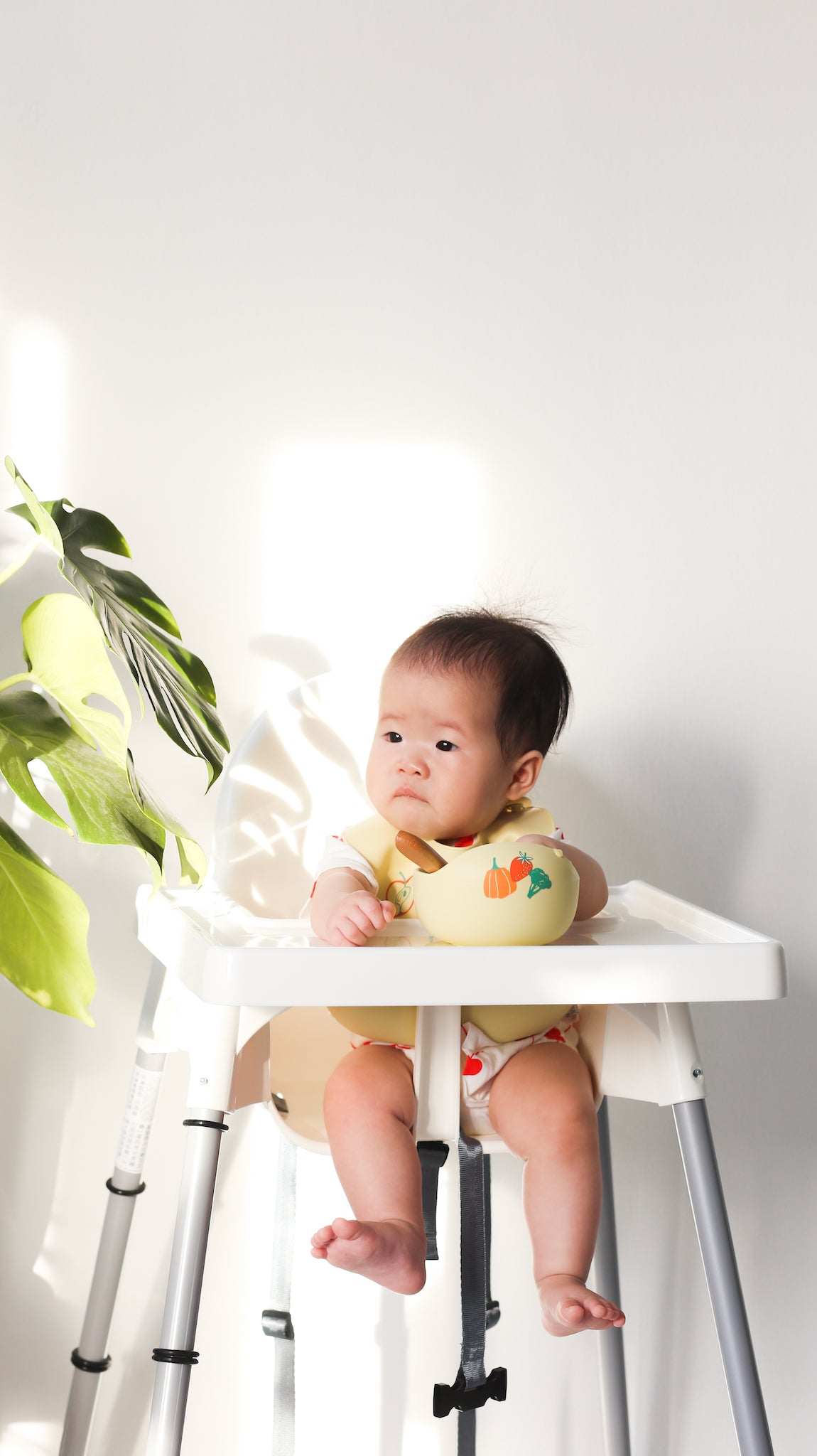 Silicone Suction Bowl + Bib